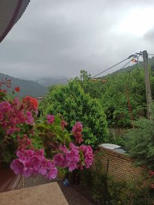 photo 2023 05 05 23 25 50