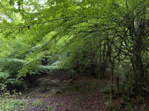 photo 2023 05 06 08 34 46