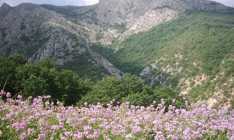 ییلاق درکش