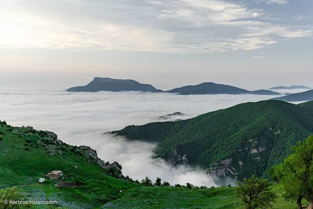 از جنگل ابر شاهرود چه می دانید 1024x683 1