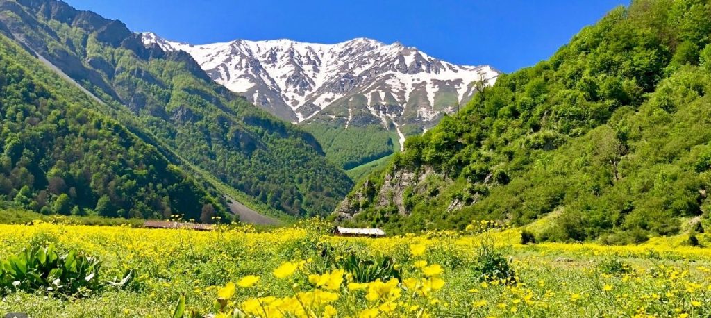 دشت دریاسر کجاست؟
