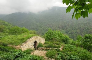 شاه‌کوه
