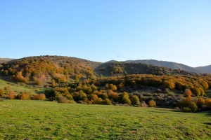 روستای داماش