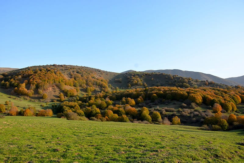 روستای داماش