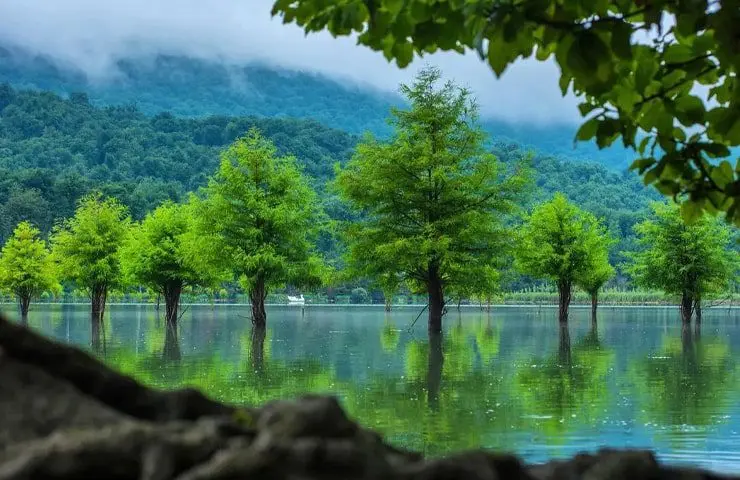 alandan lake 13