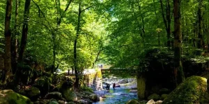 آبشار صفارود