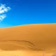 کویر کاراکال